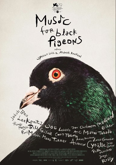 black pigeons