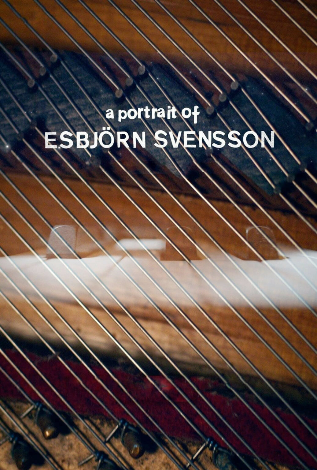 771557 a portrait of esbjorn svensson 0 2000 0 3000 crop 1037x1536